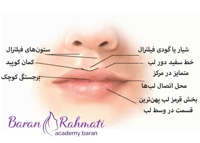 بهترین مرکز آموزش تزریق ژل و بوتاکس در رشت کجاست؟