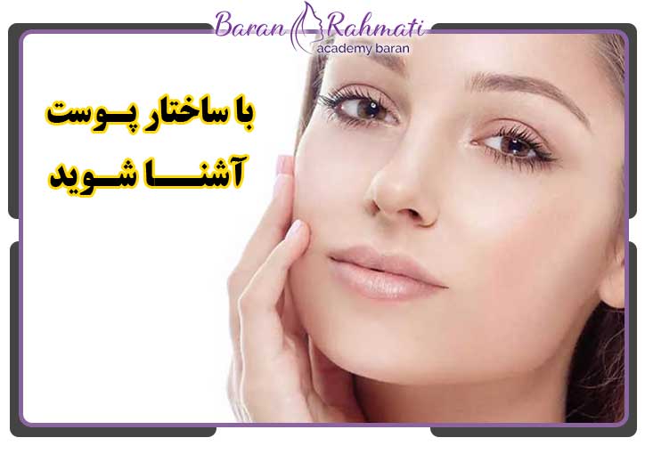 قسمت مختلف پوست صورت برای آناتومی صورت برای تزریق ژل