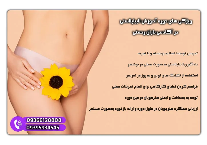 معرفی مراکز آموزش لابیاپلاستی در بوشهر 